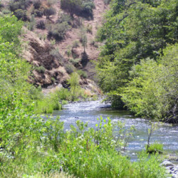 R Wild Horse Ranch R Wild Horse Ranch