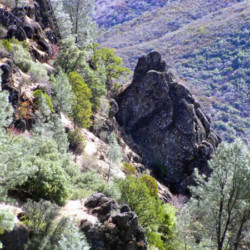 R Wild Horse Ranch R Wild Horse Ranch