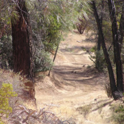 R Wild Horse Ranch R Wild Horse Ranch