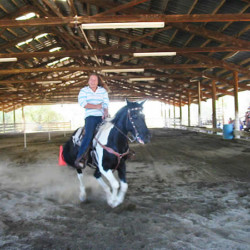 R Wild Horse Ranch R Wild Horse Ranch