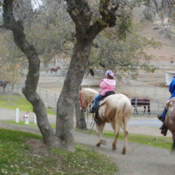 R Wild Horse Ranch R Wild Horse Ranch