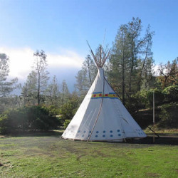 R Wild Horse Ranch R Wild Horse Ranch