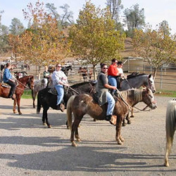 R Wild Horse Ranch R Wild Horse Ranch