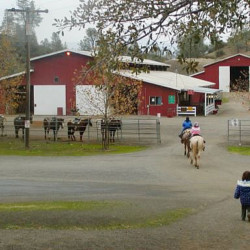 R Wild Horse Ranch R Wild Horse Ranch